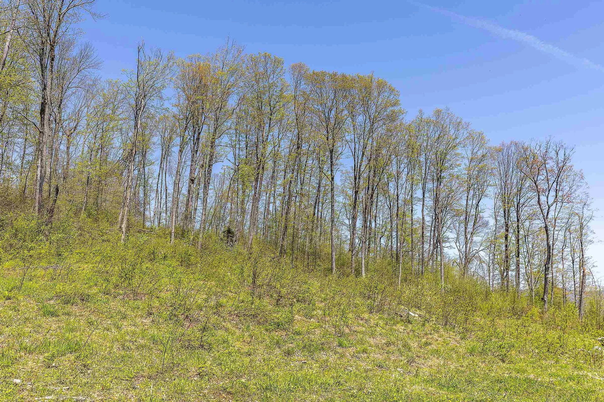 0 Rock Bottom Lane Peru VT 05152