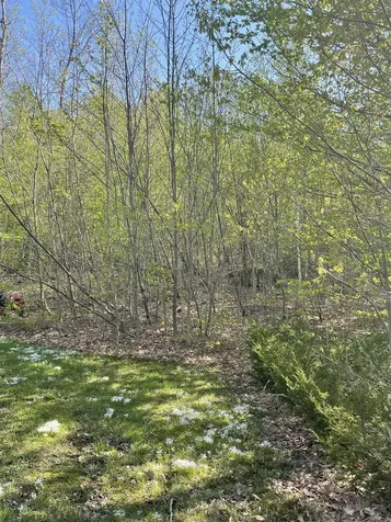 Map 135 Lot 13 Route 123 Stoddard NH 03464