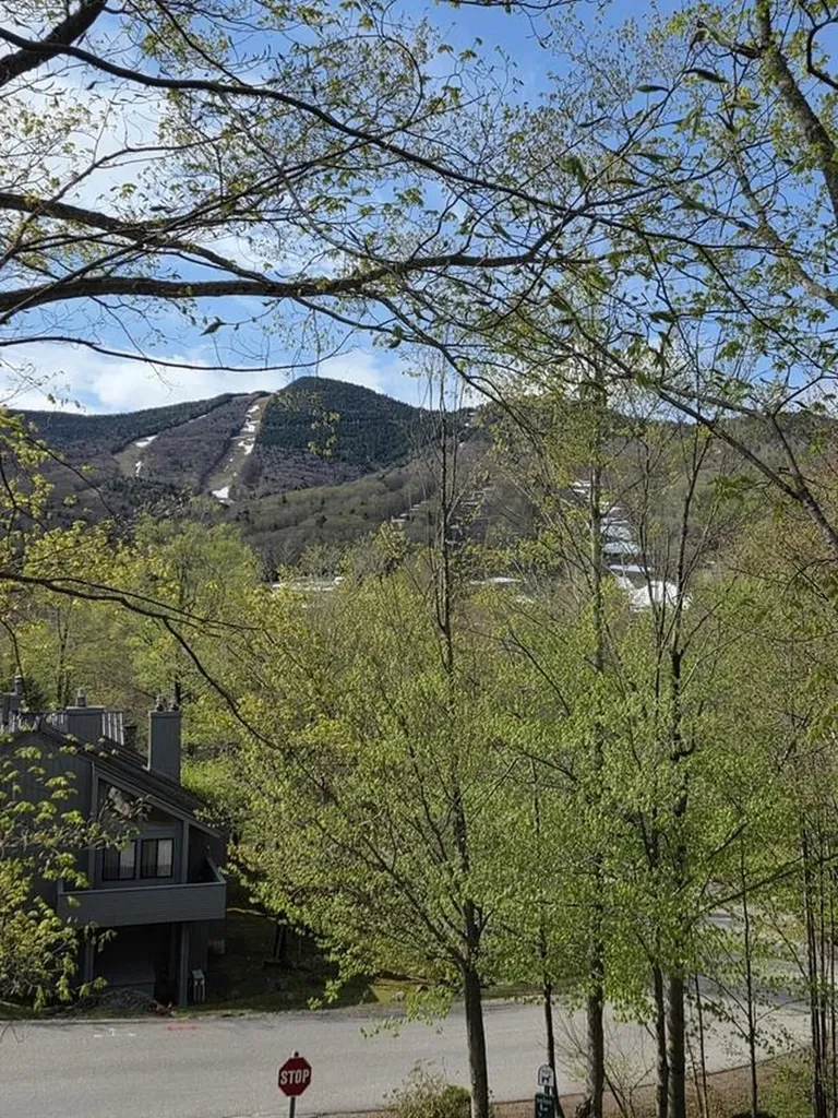 10 Potash Road Lincoln NH 03251