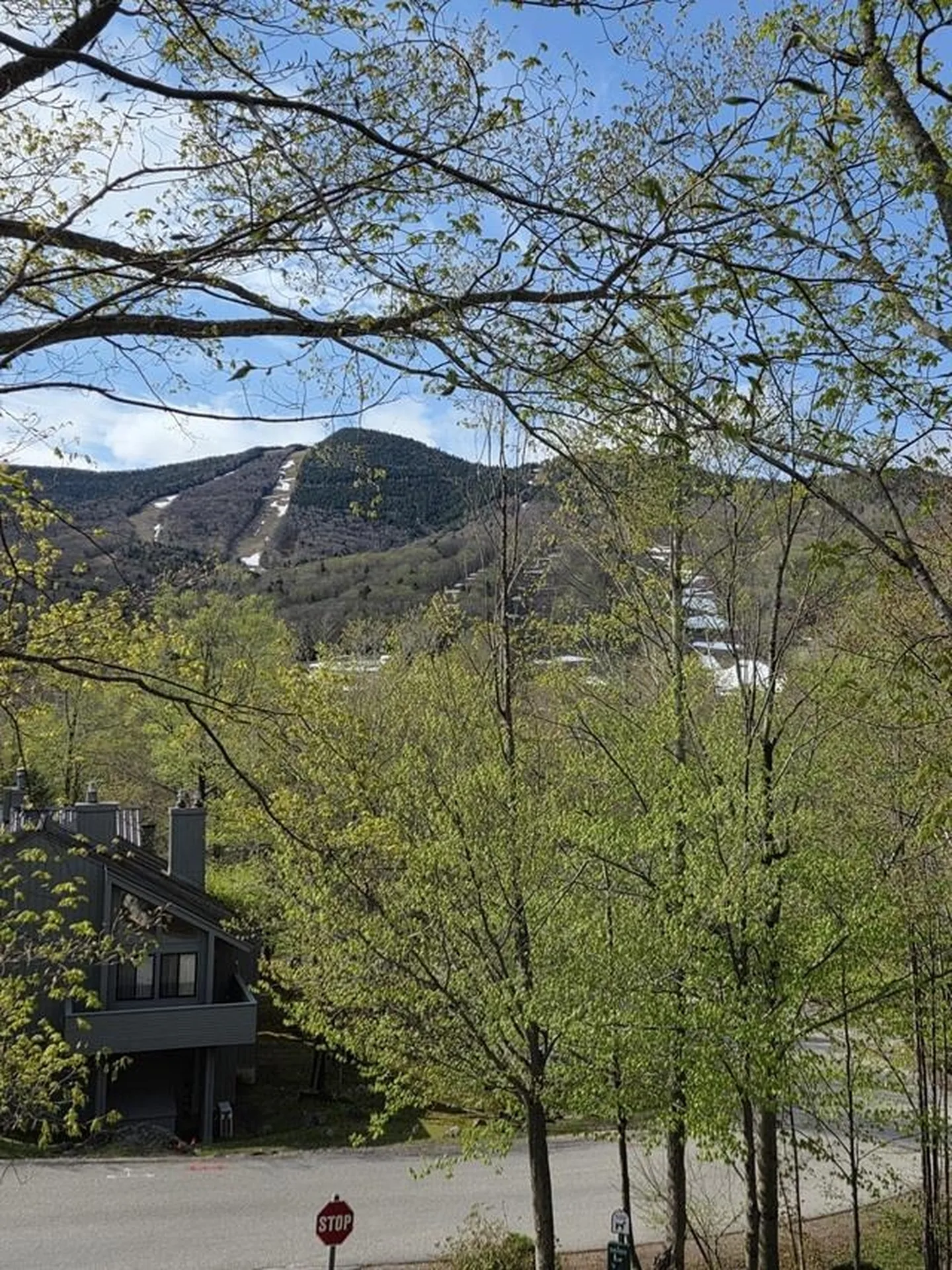 10 Potash Road Lincoln NH 03251