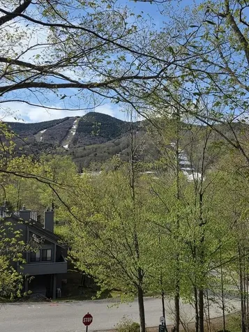 10 Potash Road Lincoln NH 03251