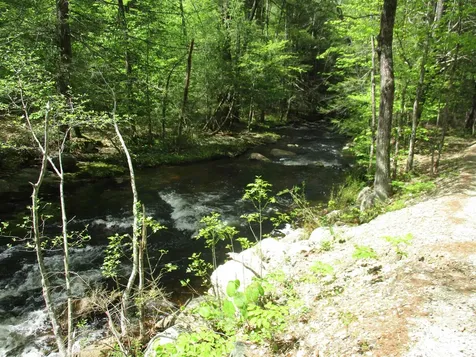 Tbt Bog Road Goffstown NH 03045