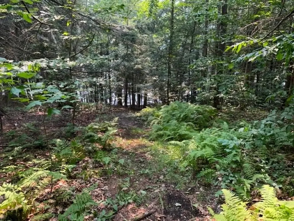 290 Old Mill Lane Wilmington VT 05363