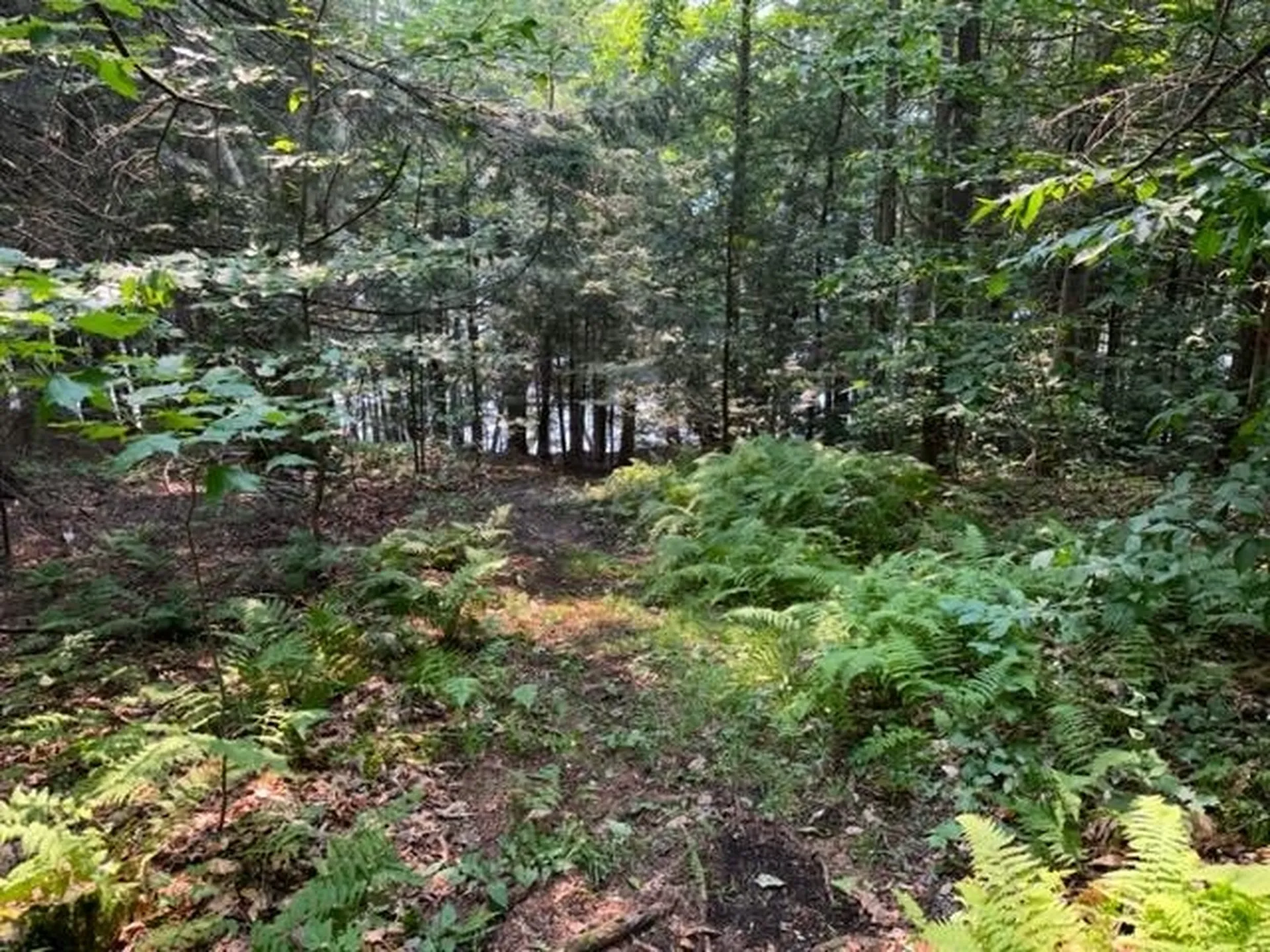 290 Old Mill Lane Wilmington VT 05363