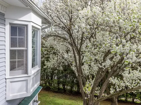 1 Deerfield Drive South Burlington VT 05403