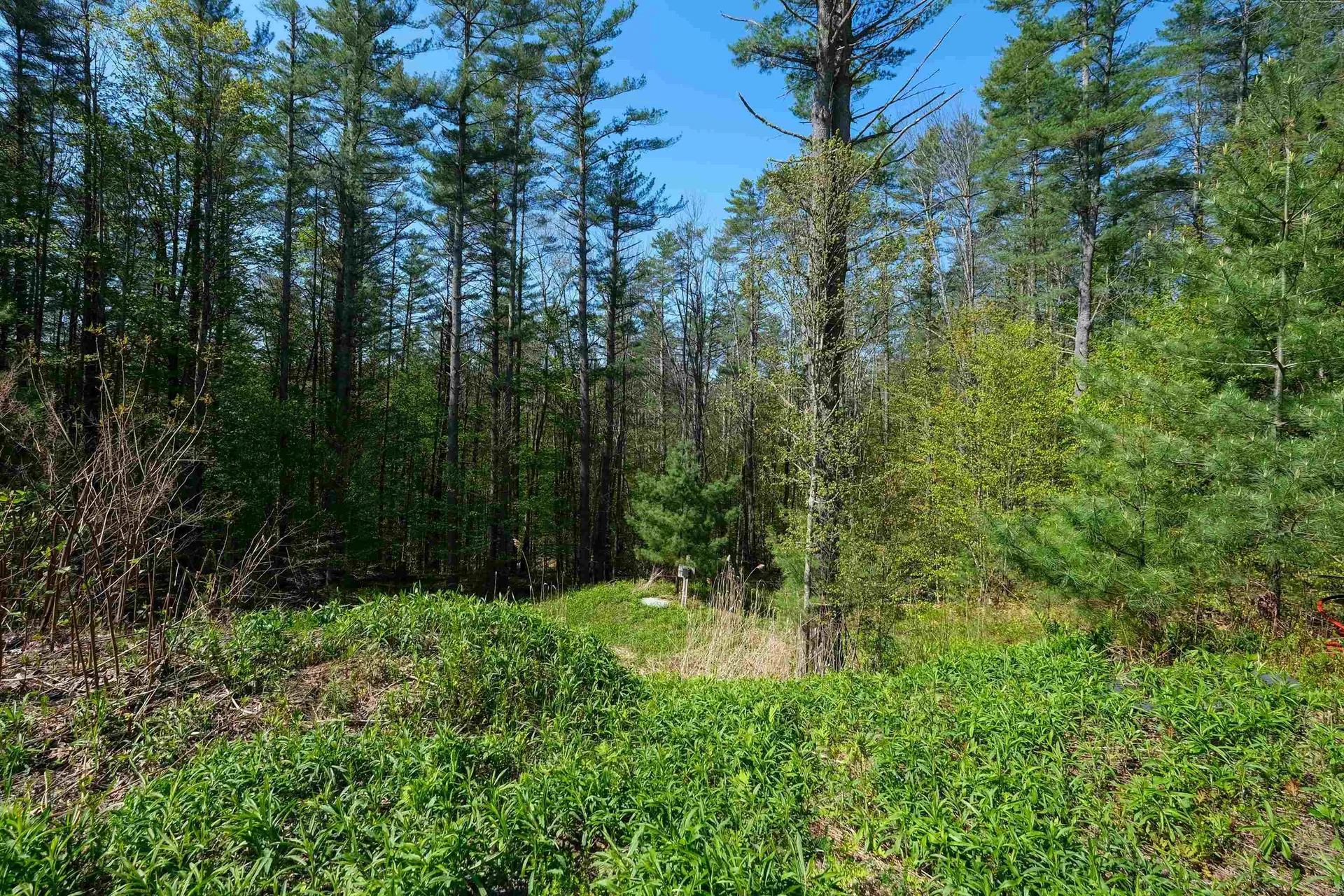 0 Cedar Drive Ludlow VT 05149