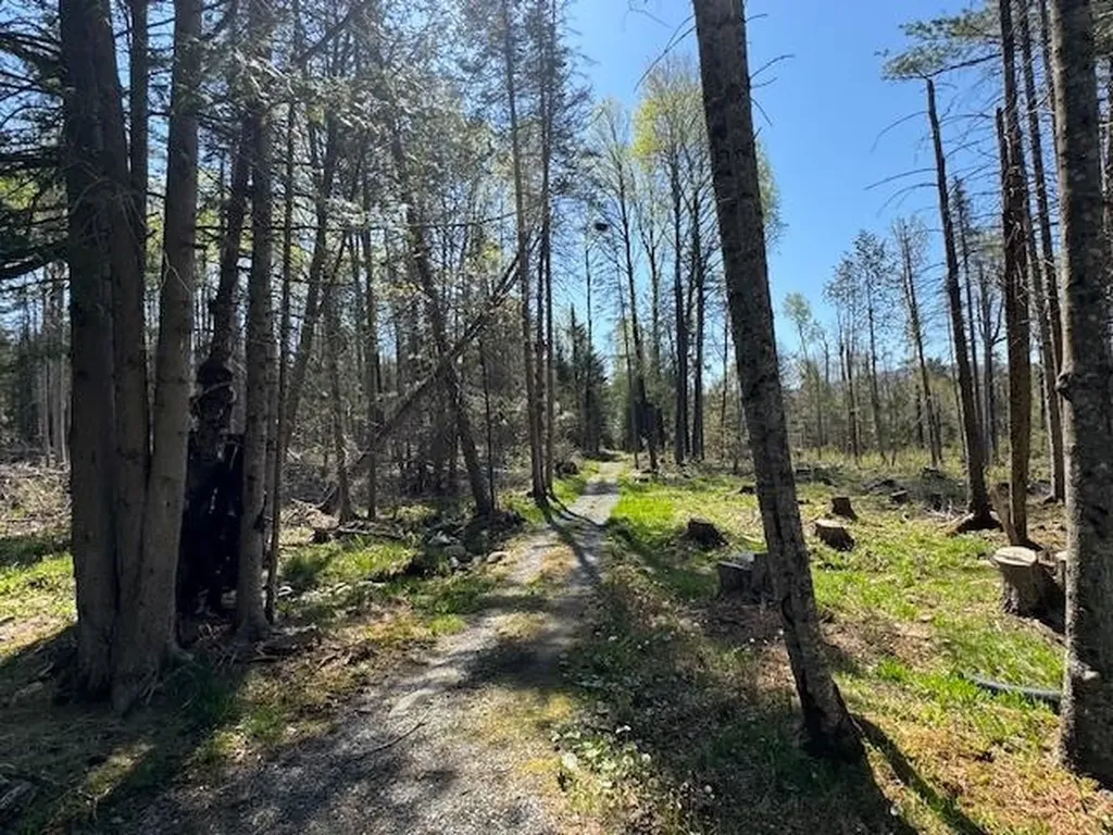 287 Flagg Pond Road Stannard VT 05842