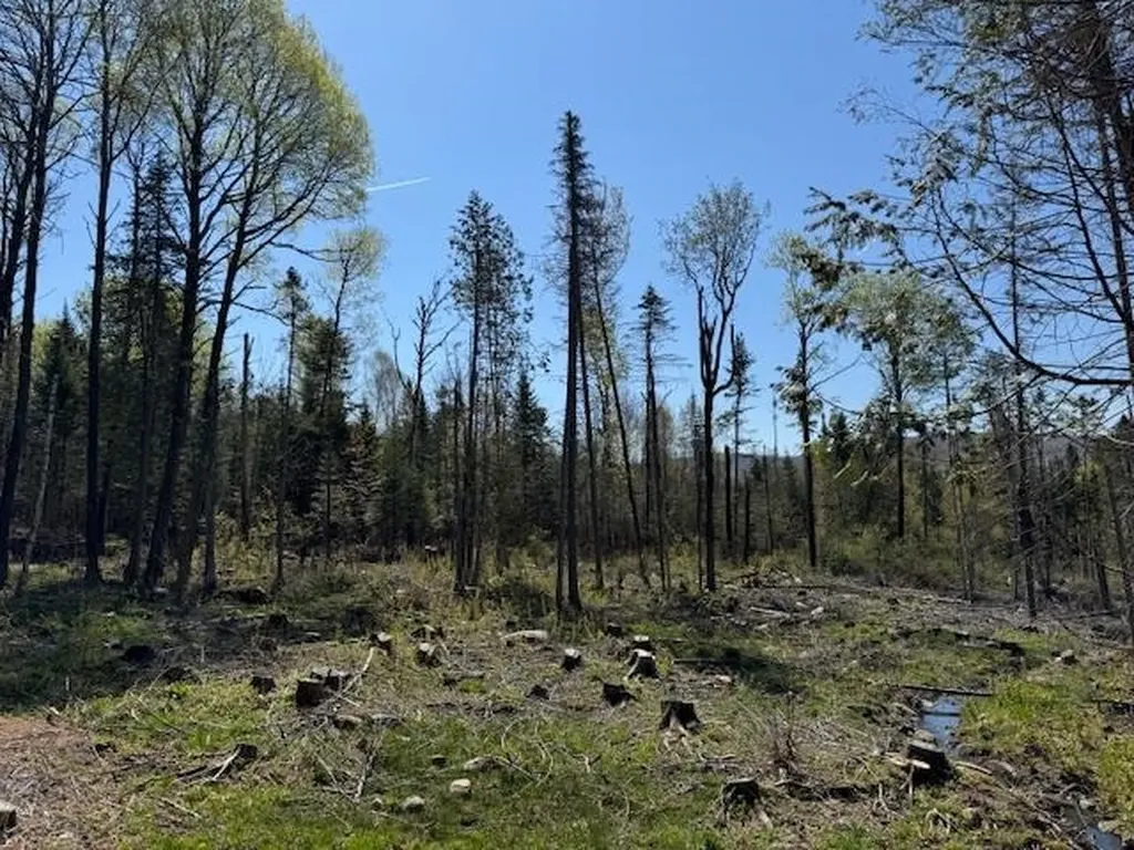 287 Flagg Pond Road Stannard VT 05842