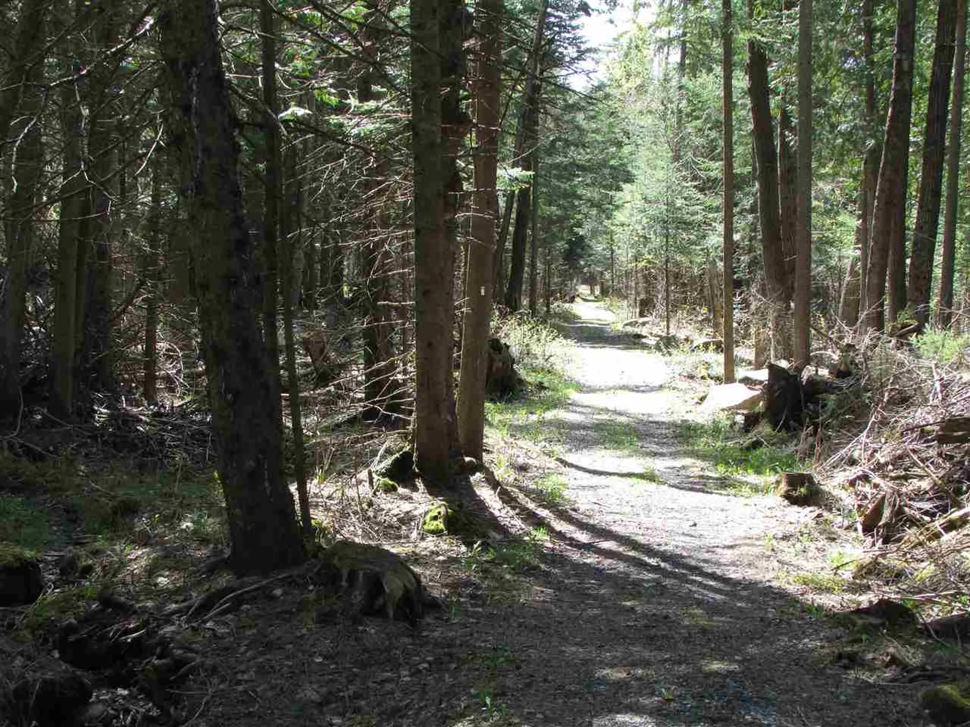 287 Flagg Pond Road Stannard VT 05842