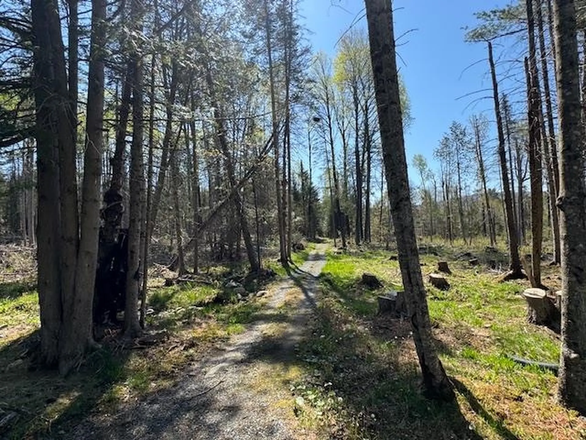 287 Flagg Pond Road Stannard VT 05842