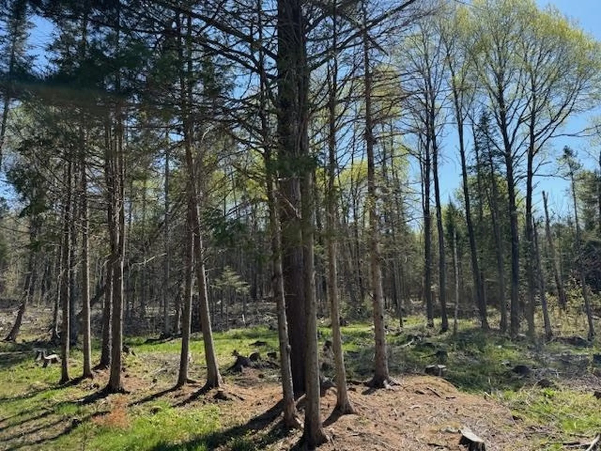 287 Flagg Pond Road Stannard VT 05842