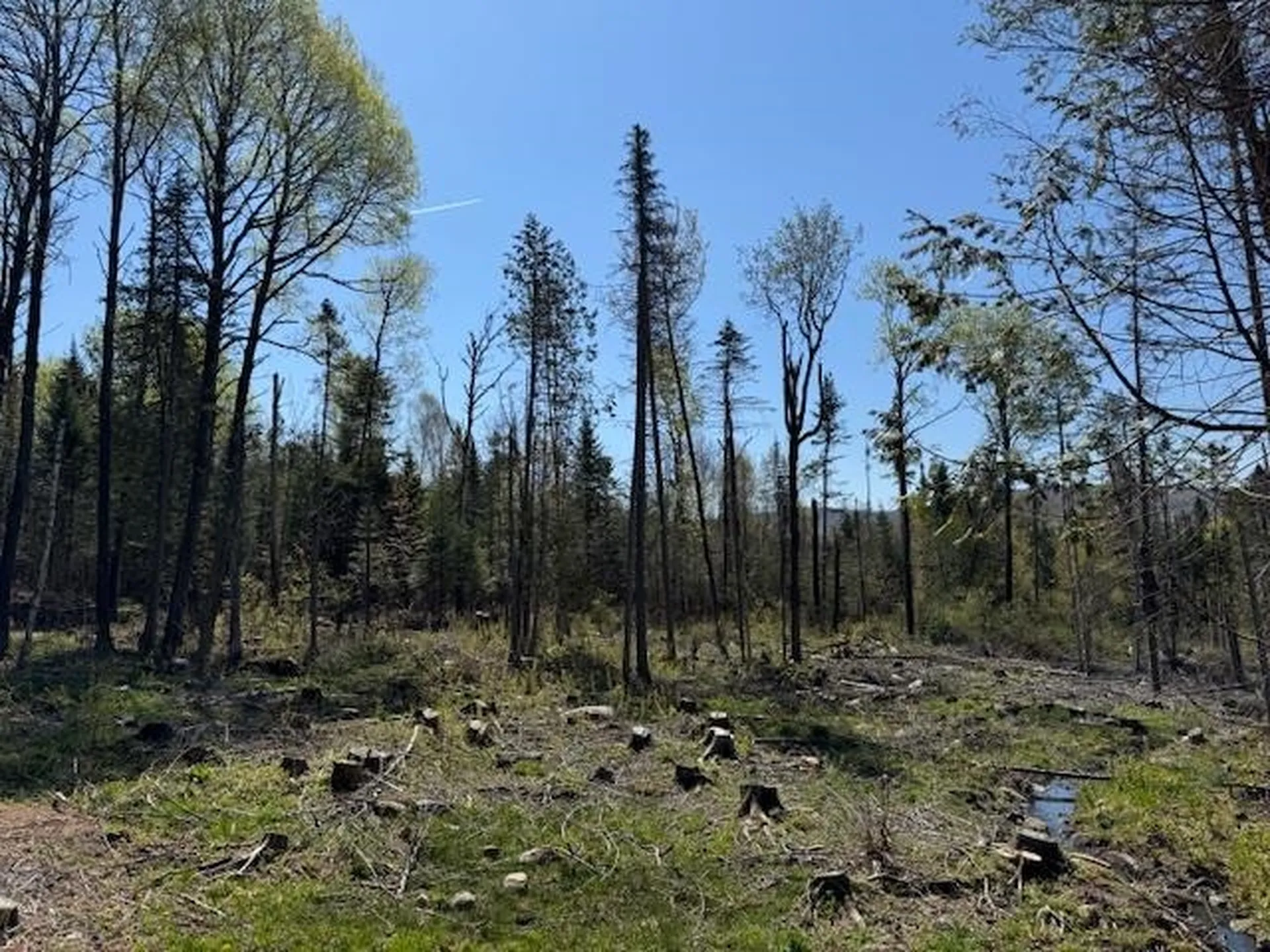 287 Flagg Pond Road Stannard VT 05842