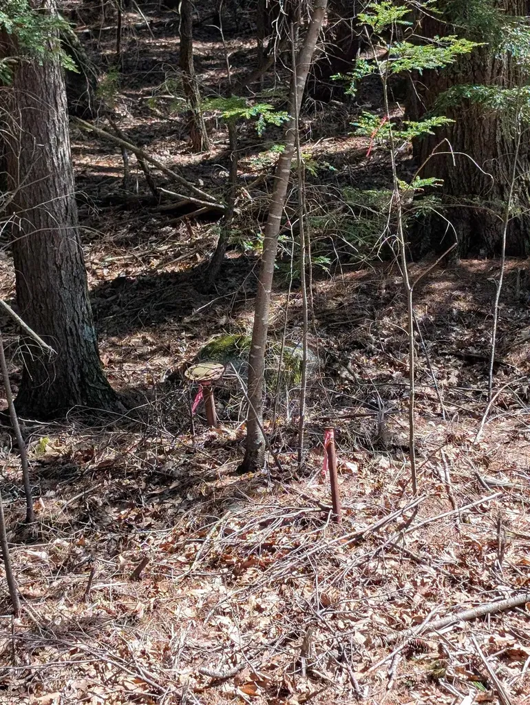 00 Royalston Road Fitzwilliam NH 03447