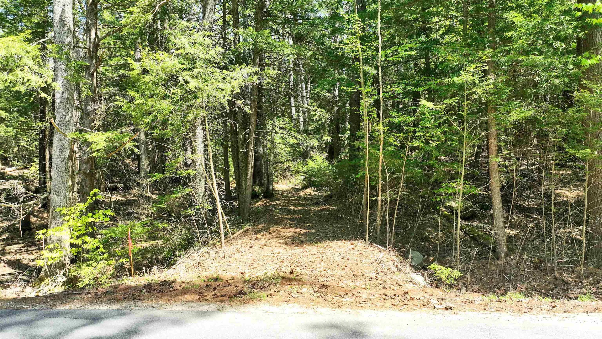 00 Royalston Road Fitzwilliam NH 03447