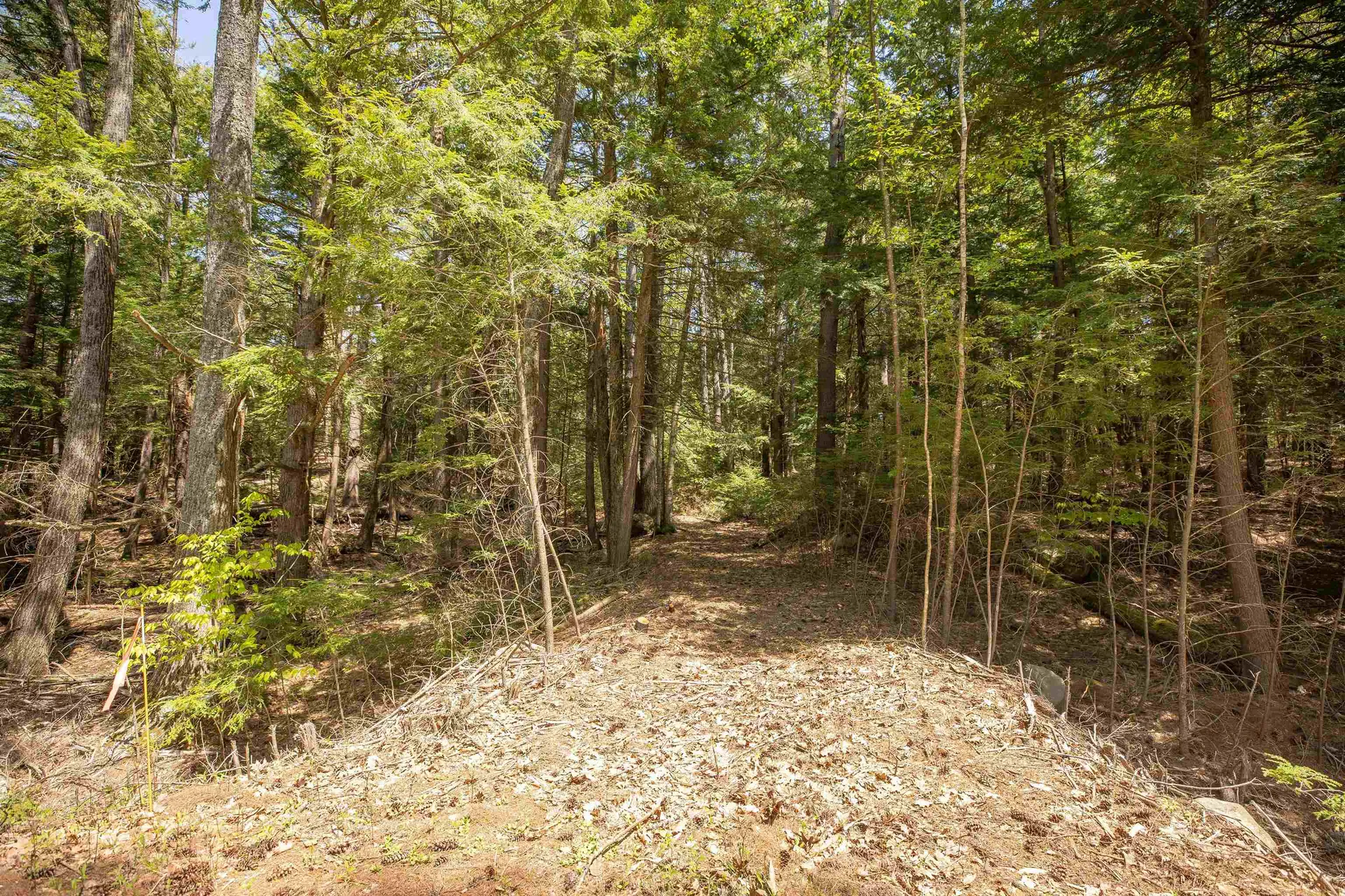 00 Royalston Road Fitzwilliam NH 03447