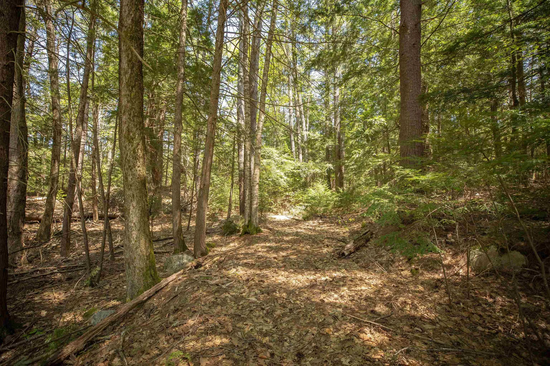 00 Royalston Road Fitzwilliam NH 03447