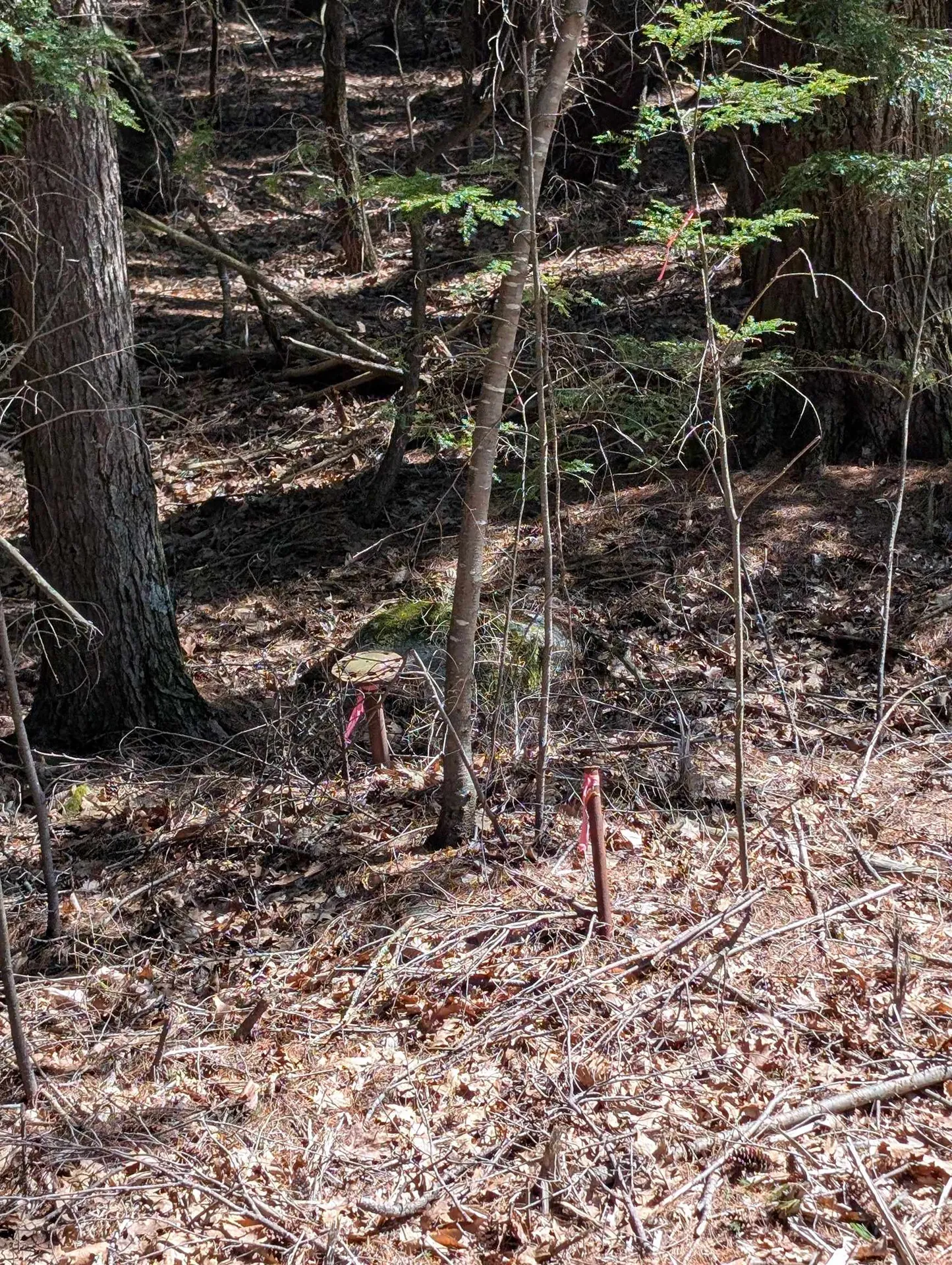 00 Royalston Road Fitzwilliam NH 03447