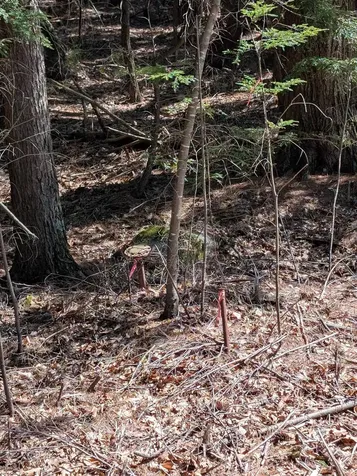 00 Royalston Road Fitzwilliam NH 03447