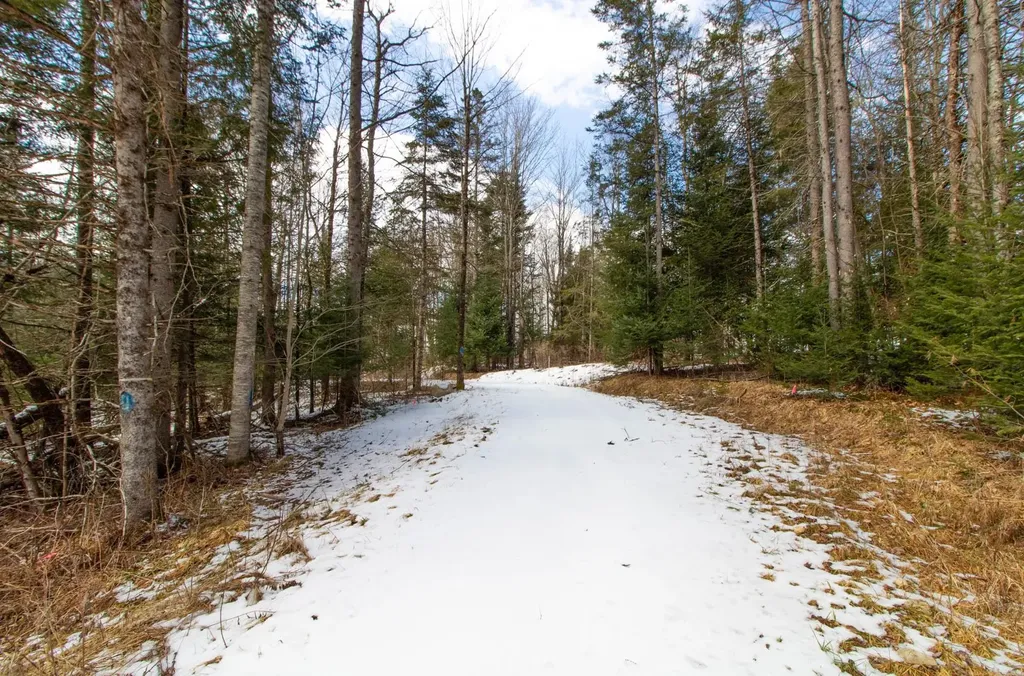 00 East Darling Hill Road Burke VT 05832