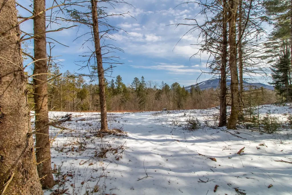 00 East Darling Hill Road Burke VT 05832