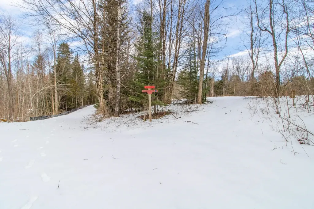 00 East Darling Hill Road Burke VT 05832