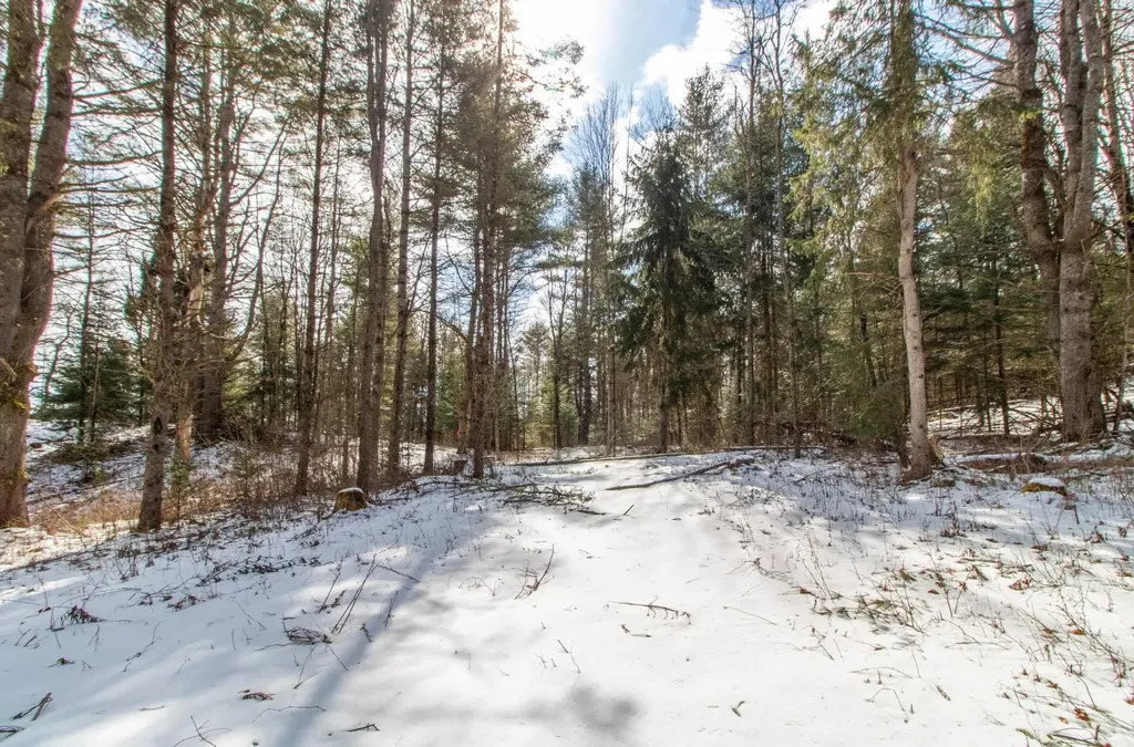 00 East Darling Hill Road Burke VT 05832