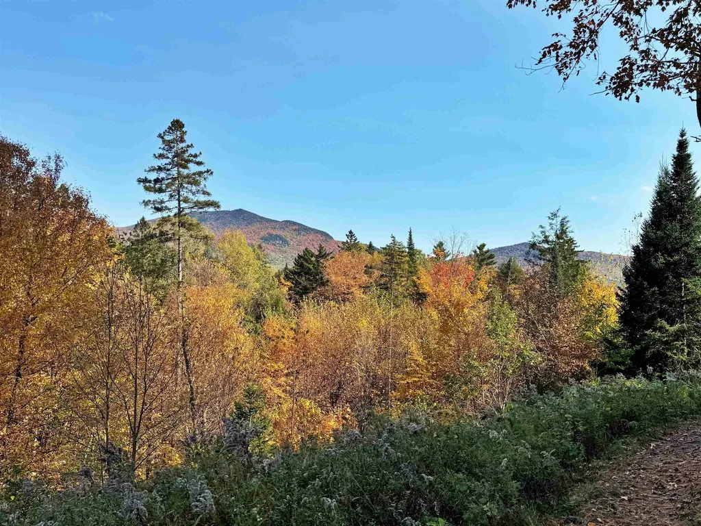 00 East Darling Hill Road Burke VT 05832