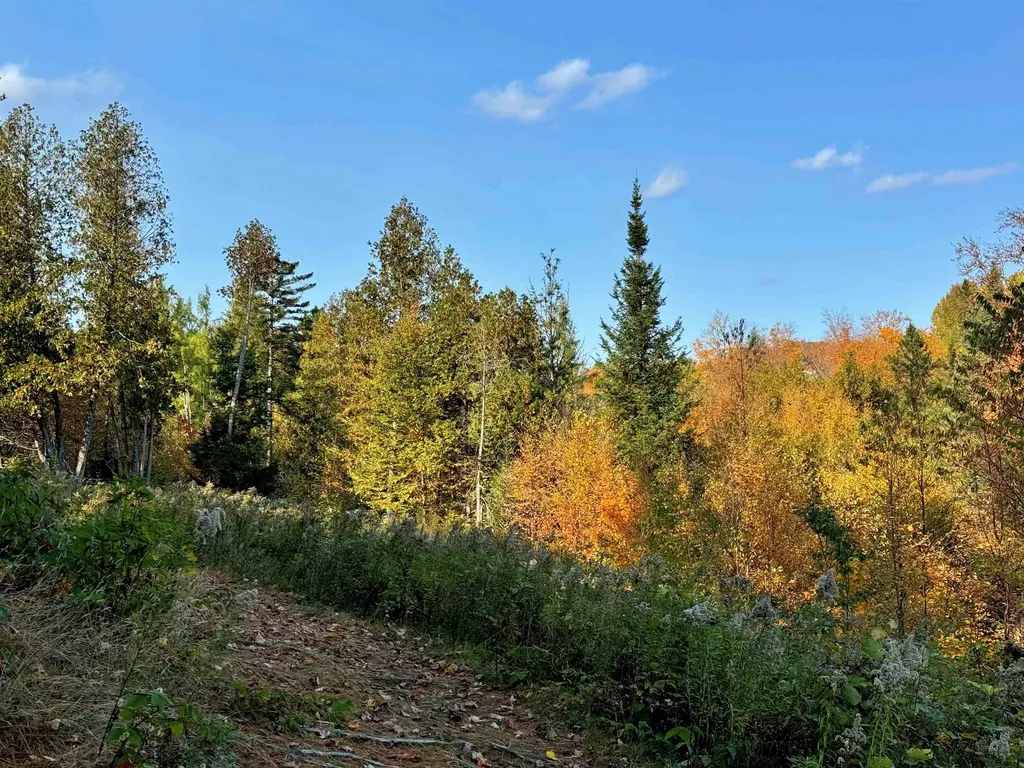 00 East Darling Hill Road Burke VT 05832