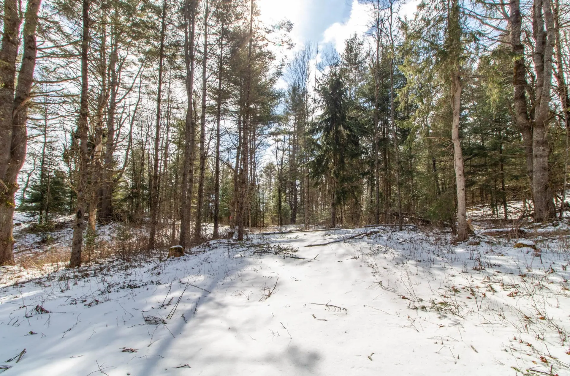 00 East Darling Hill Road Burke VT 05832