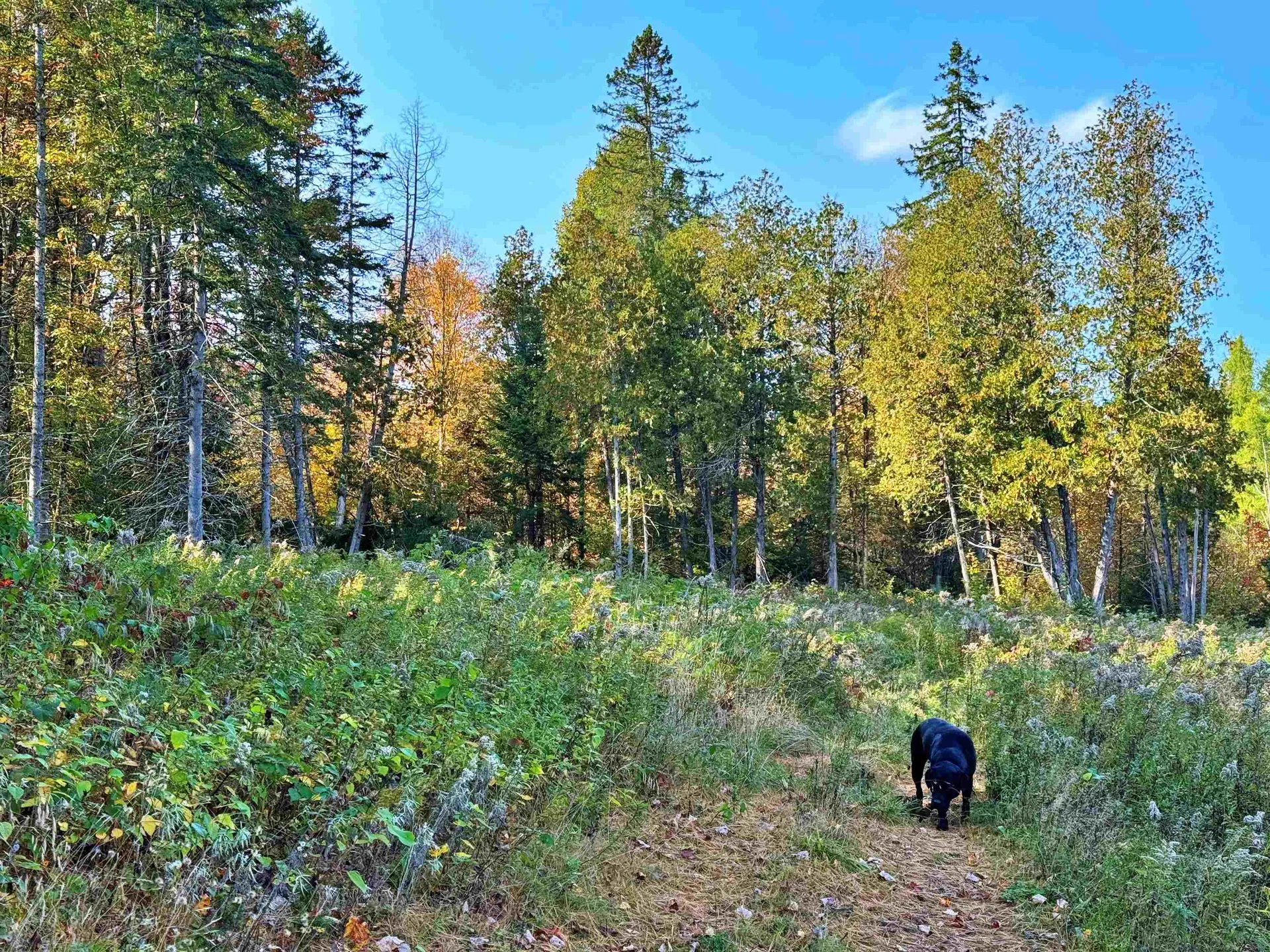 00 East Darling Hill Road Burke VT 05832