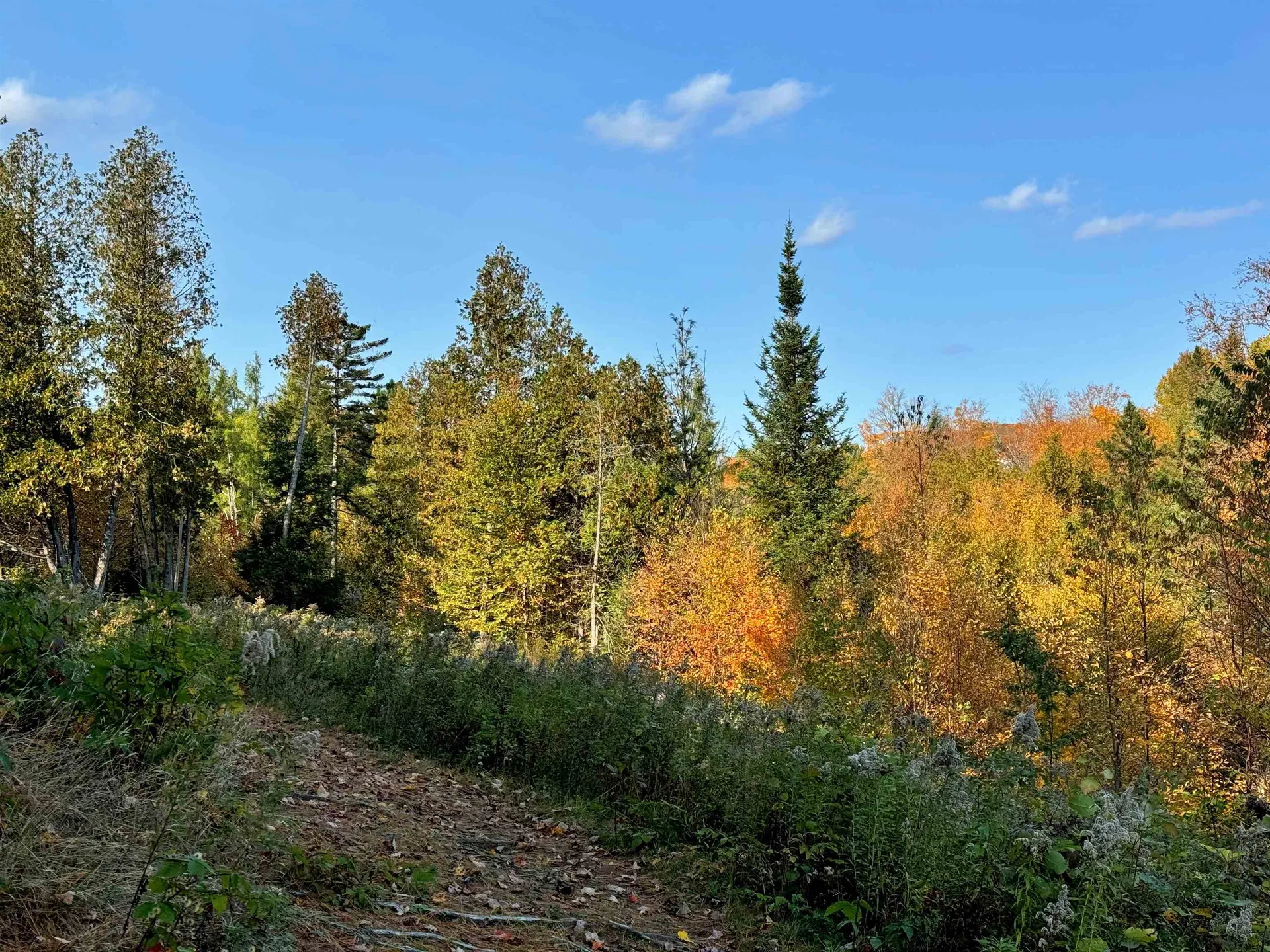 00 East Darling Hill Road Burke VT 05832