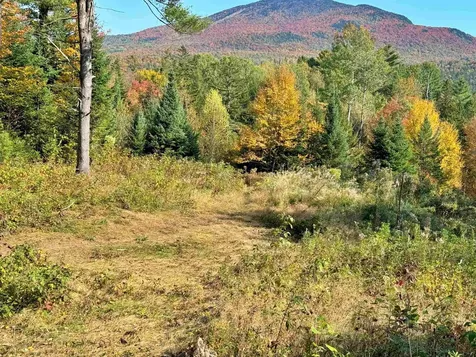 00 East Darling Hill Road Burke VT 05832