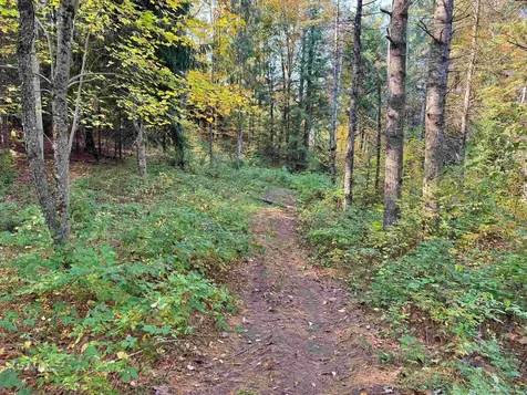 00 East Darling Hill Road Burke VT 05832