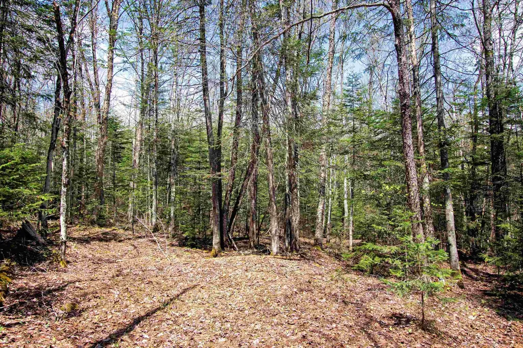 00 Mcdowell Road Danville VT 05828