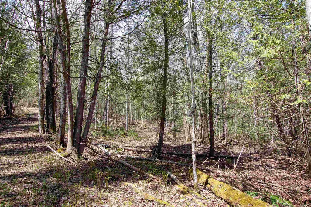 00 Mcdowell Road Danville VT 05828