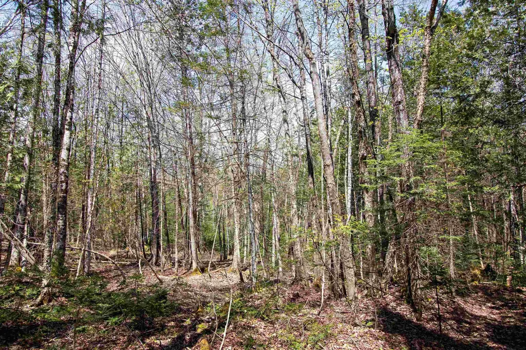 00 Mcdowell Road Danville VT 05828