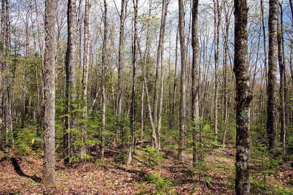 00 Mcdowell Road Danville VT 05828