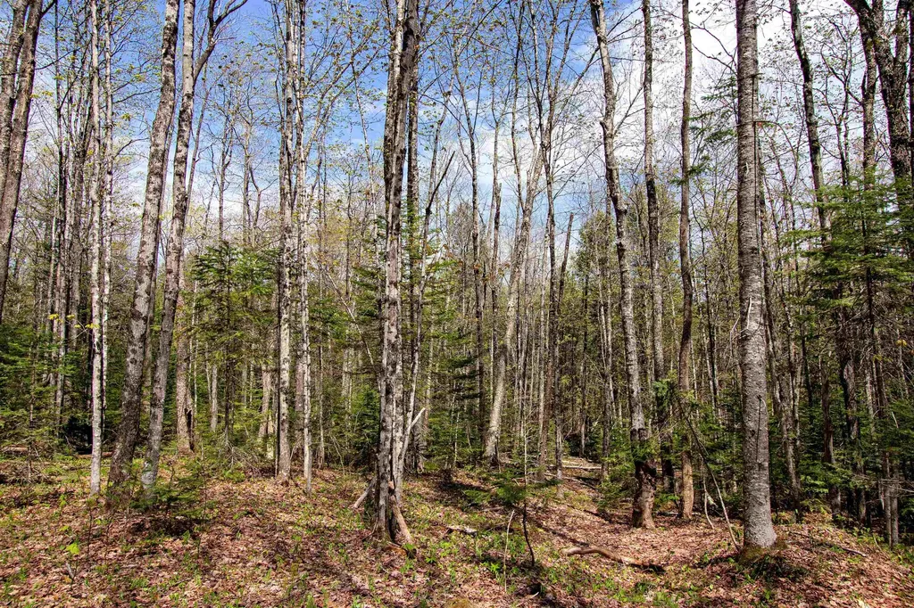 00 Mcdowell Road Danville VT 05828