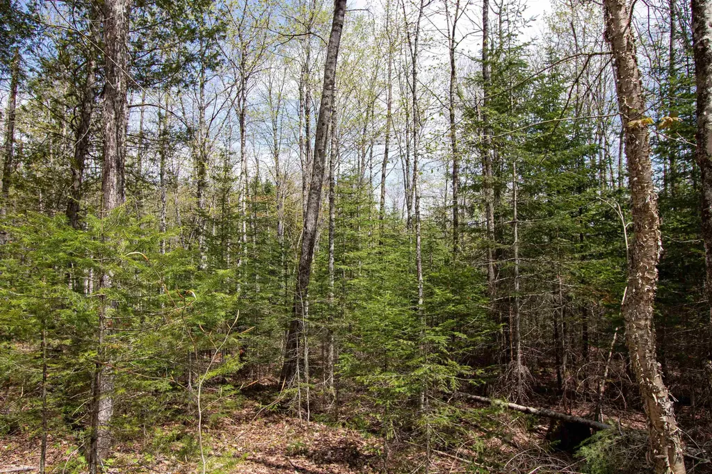 00 Mcdowell Road Danville VT 05828