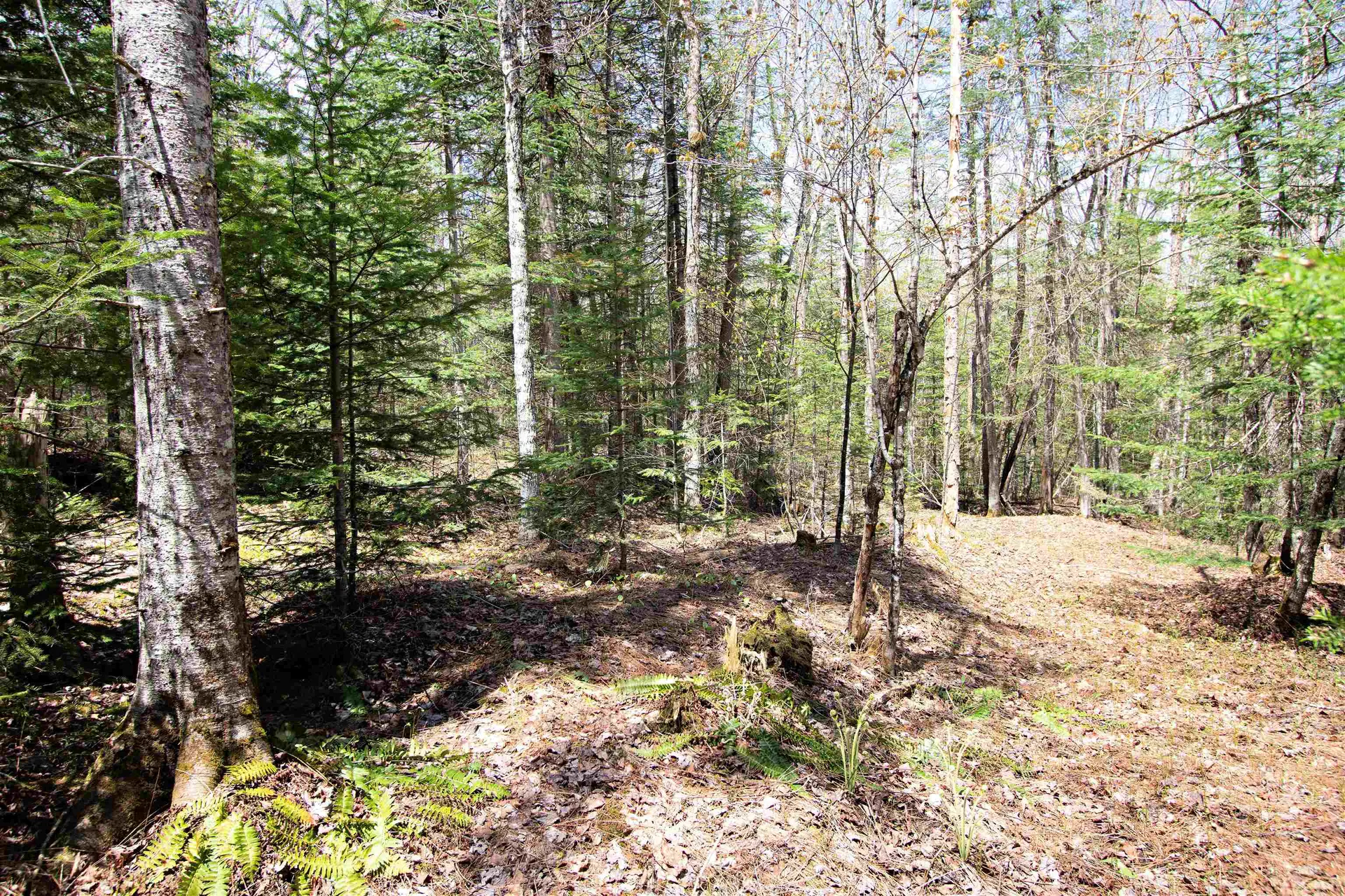 00 Mcdowell Road Danville VT 05828