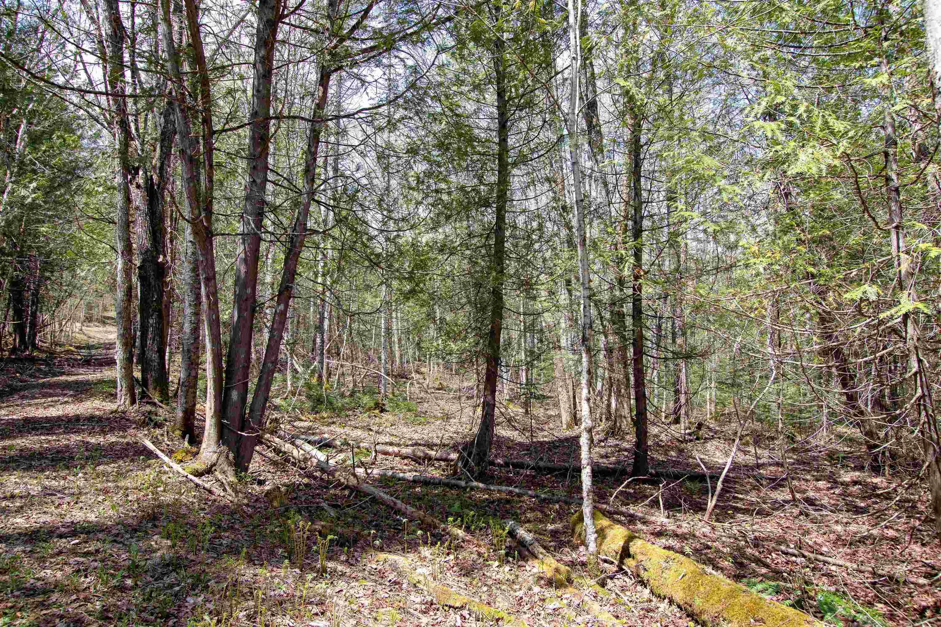 00 Mcdowell Road Danville VT 05828