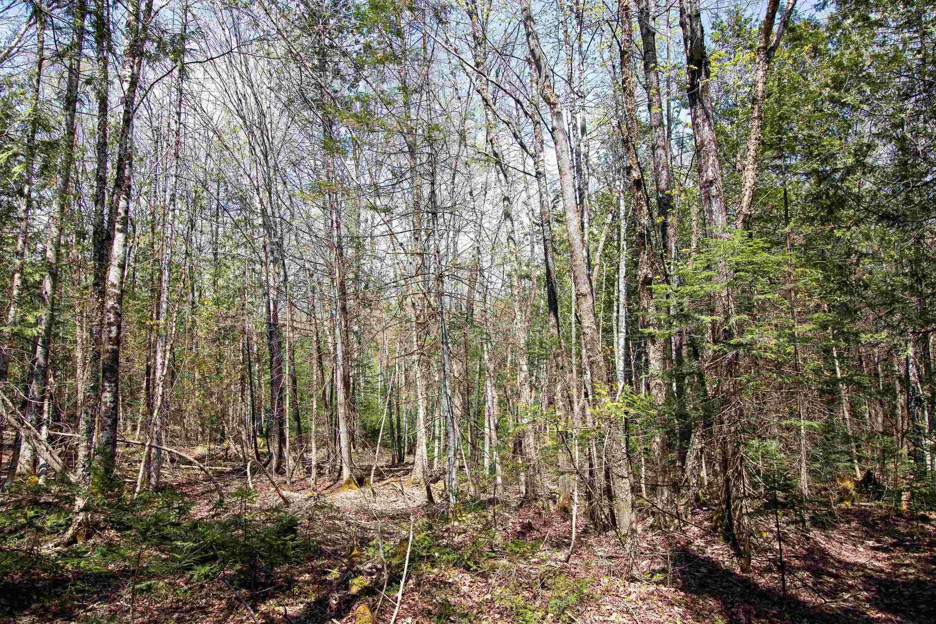 00 Mcdowell Road Danville VT 05828