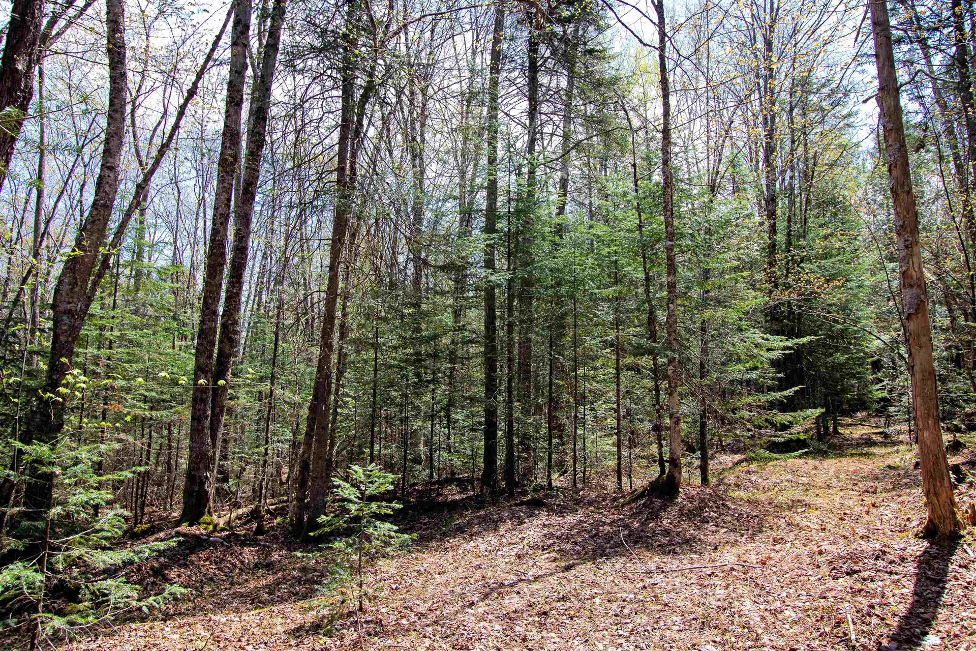 00 Mcdowell Road Danville VT 05828