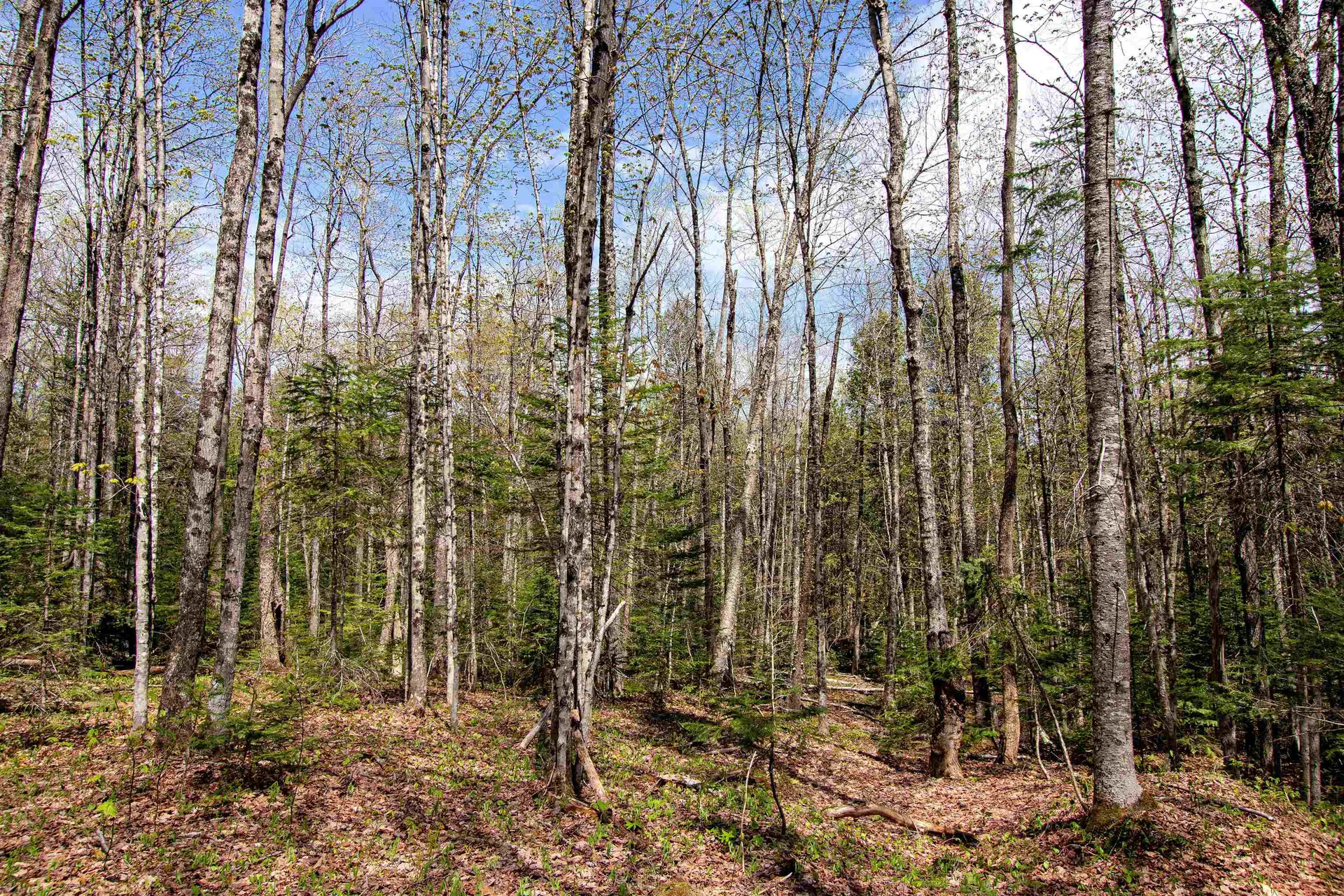 00 Mcdowell Road Danville VT 05828