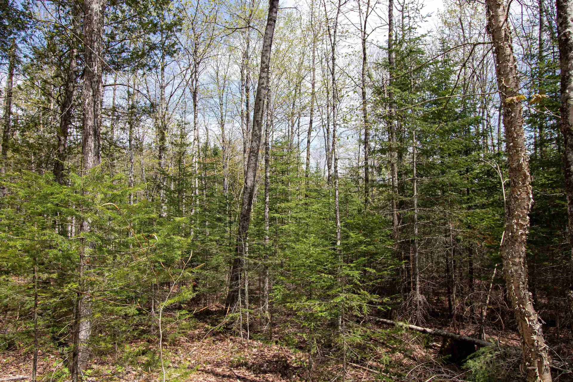 00 Mcdowell Road Danville VT 05828