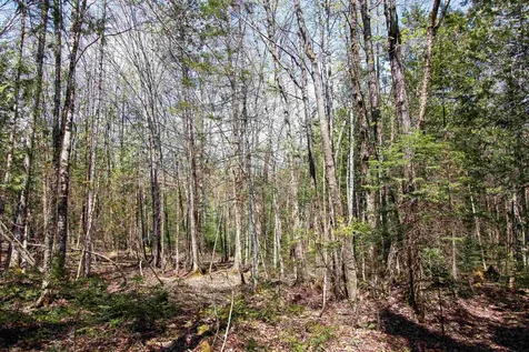 00 Mcdowell Road Danville VT 05828