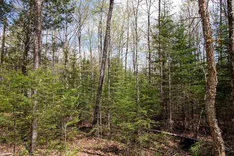 00 Mcdowell Road Danville VT 05828