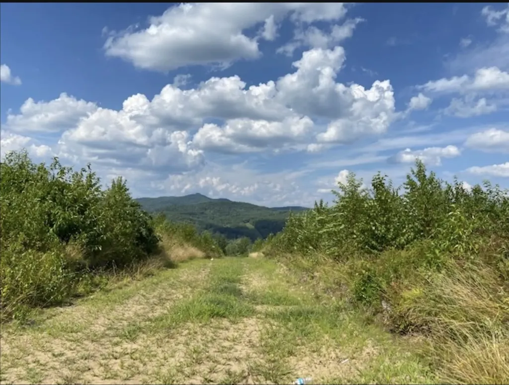 820 Old Bristol Road New Hampton NH 03256