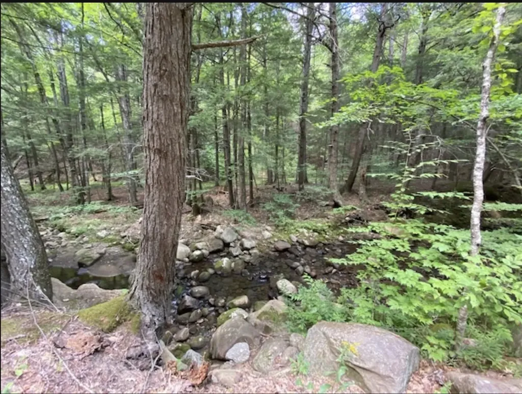 820 Old Bristol Road New Hampton NH 03256