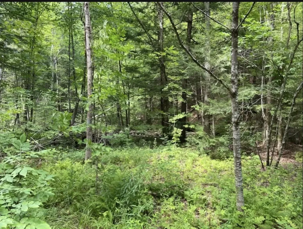 820 Old Bristol Road New Hampton NH 03256